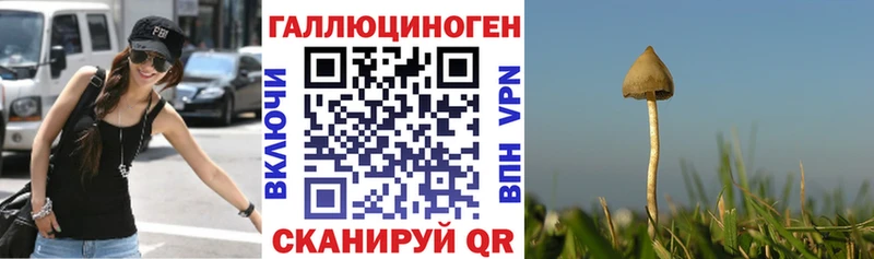 ОМГ ОМГ tor  площадка формула  Ясногорск  Псилоцибиновые грибы мицелий  купить наркотик 